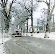 ������� 1950-��: ���� ����� �����